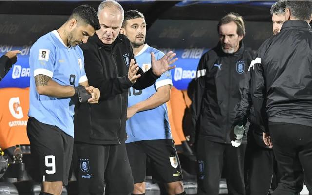 500网-苏亚雷斯炮轰贝尔萨到底有什么真相？